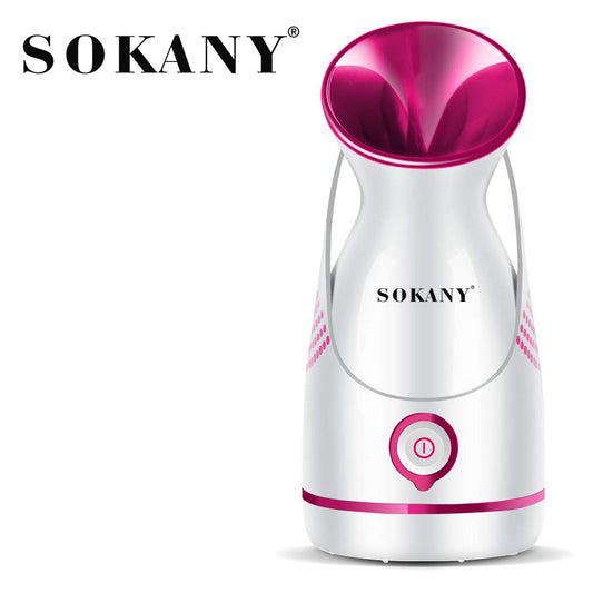 Nano-ion steam facial steamer household humidification steamer beauty instrument water