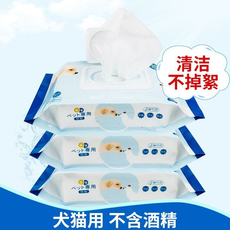 Pet cleaning hair removal comb with wash-free sticky hair device cat comb hair for cats and dogs