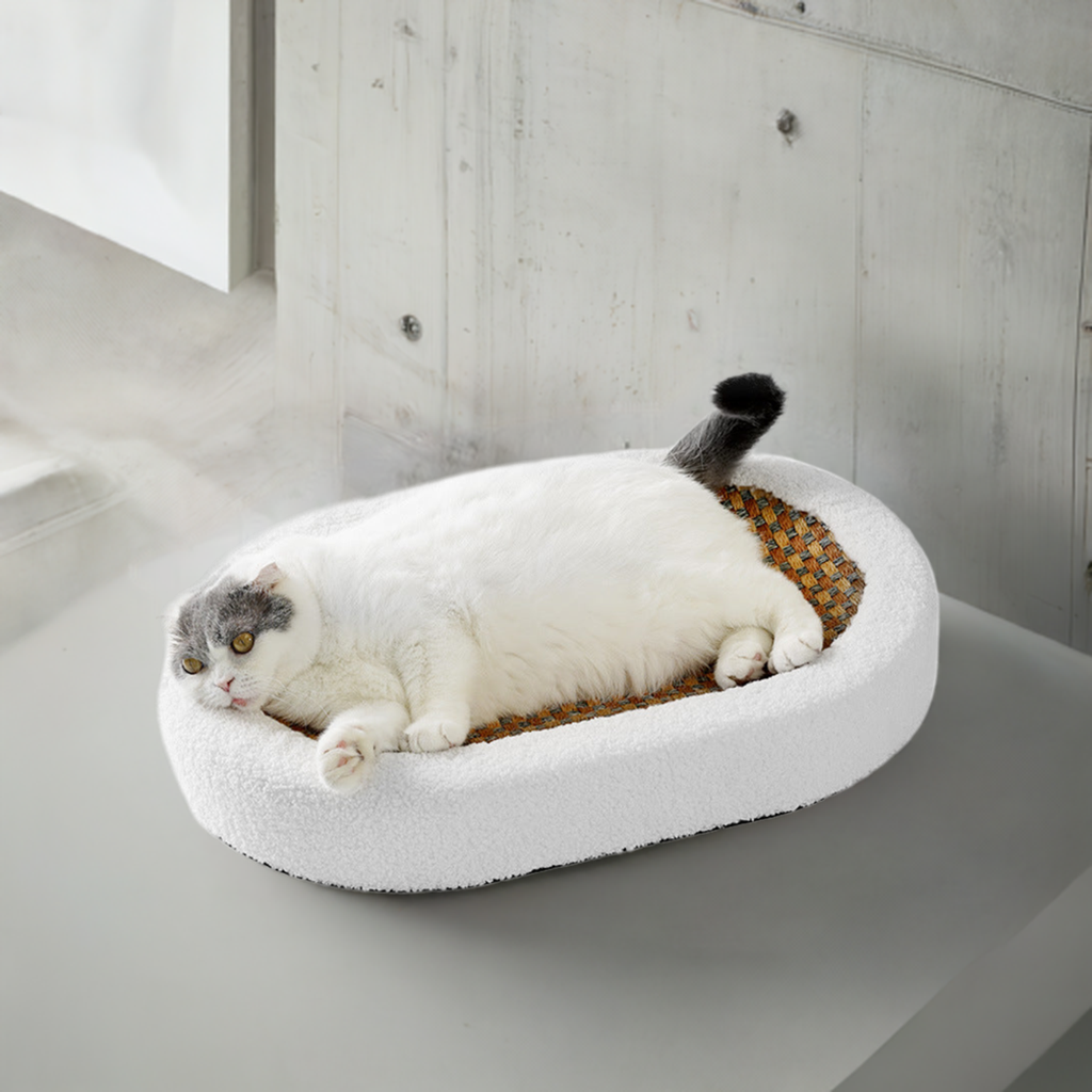 Cat scratching board
